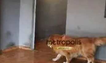 Imagem 4: Casa com 2 dormitórios à venda, 116 m² por R$ 590.000,00 - Vila Santa Luzia - São Bernardo