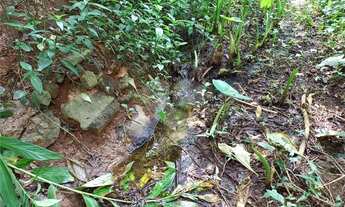Imagem 6: Terreno à venda em Jardim Pinheiros - SP