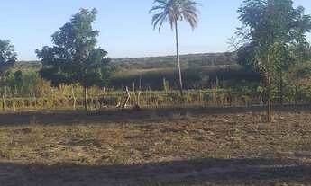 Imagem: FAZENDA IPIRA 109 TAREFAS OPORTUNIDADE 280