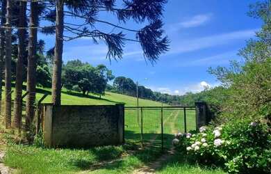 Imagem 5: Campo Largo, Jardim Florestal, chácara 22.088m², casa com varanda, lago, cercada, próximo