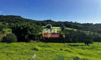 Imagem: Sitio 19 alqueires (91,96 hectares) Jandaia