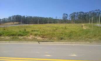 Imagem 6: Terreno à Venda no Bairro Vila Amélia!