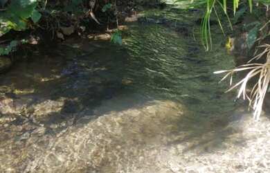 Imagem 2: Fazenda em frente ao Casarão (Cezarina