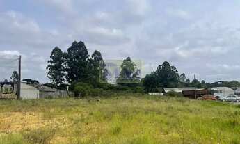 Imagem 4: Área à venda com 5546.09m² por R$ 4.400.000,00 no bairro Guaraituba - COLOMBO