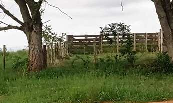 Imagem 5: Sítio com 12 Alqueires ótimo para criação de gado... 7 km d Asfalto, 28 km d ANGATUBA, não