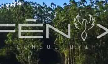 Imagem 2: Casa de condomínio para venda possui 500 metros quadrados