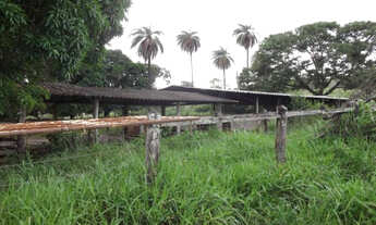 Imagem 6: Fazenda de 100 ha, a 500m do asfalto/Jaboticatubas (Temos varias opções