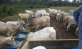 Imagem 6: Aceita permuta Fazenda / sítio com venda por R$3.800.000