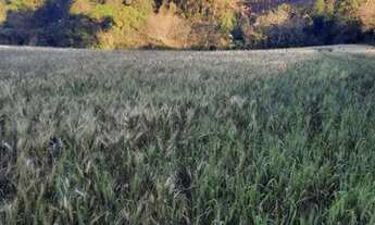 Imagem 6: Vendo chácara de 9.600m²