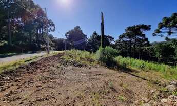 Imagem 7: Gramado - Terreno Padrão - Dutra