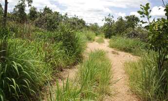 Imagem 5: Terreno de 16 hectares em Curvelo