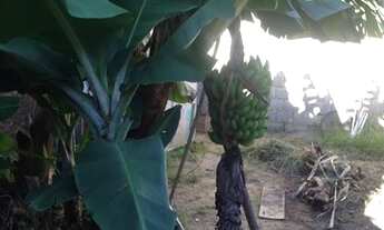 Imagem 7: Casa 3 qtos - Bairro Eymard - R$ 550.000