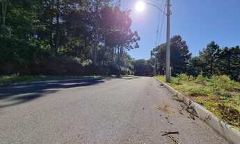 Imagem 3: Gramado - Terreno Padrão - Dutra