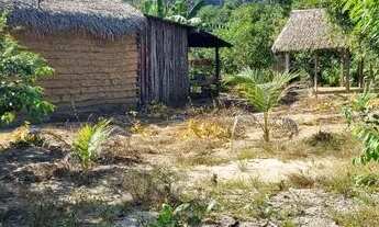 Imagem 3: Comunidade Castela 32 frente, 200 de fundos