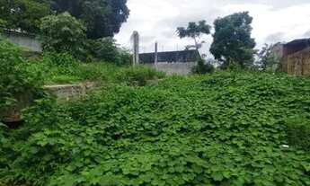 Imagem 3: Terreno no Novo Aleixo de Esquina / 13x25 próx da Natan Xavier