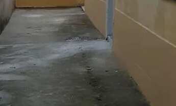 Imagem 3: Aluguel Casa com 1 dormitório