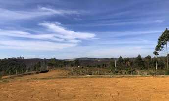 Imagem 7: Fazenda/Sítio/Chácara/Granja/Terreno para venda em Juiz de Fora - MG