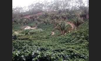 Imagem 7: Vendo Terreno Em Brejetuba