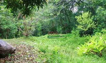 Imagem 7: Terreno à venda, 7381 m² por R$ 1.170.000,00 - Praia da Almada - Ubatuba/SP