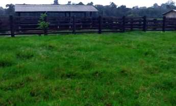 Imagem 4: Fazenda a venda 58 alqueires 47 de capim! 30 km da cidade José pó filho..?