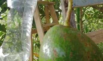 Imagem 5: Terreno com escritura em Mogi das cruzes