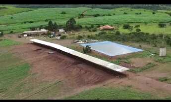 Imagem 4: Vende-se uma excelente fazenda de 300 hectares no padef