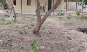 Imagem 4: Vendo Casa em Alter do Chão