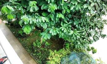 Imagem 6: Casa com 5 dormitórios para alugar, 360 m² por R$ 7.300,00/mês - Itaguaçu - Florianópolis