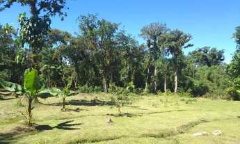 Imagem 2: Sítio em Cubatão de Guaratuba