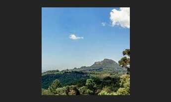 Imagem 4: Terreno - Bairro Várzea Grande