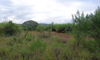 Imagem 3: Raro lote plano com 1.005m2 com vista panorâmica e otima localização