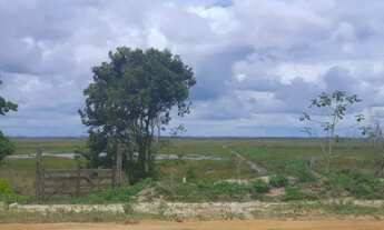 Imagem 7: 58 Alqueires em Vila do Riachom, às margens da ES 010