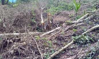 Imagem 7: Fazenda/Sítio/Chácara para venda tem 1100 metros quadrados em Guaratiba - Rio de Janeiro