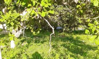 Imagem: Sítio com casa grande bem plantado, perto