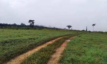 Imagem: FAZENDA A VENDA EM JUARA-MT