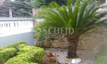 Imagem 2: VILA MARARI: CASA TÉRREA COM 3 DORMITÓRIOS SENDO 1 SUÍTE, 2 VAGAS