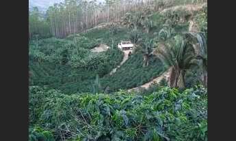 Imagem 3: Vendo Terreno Em Brejetuba