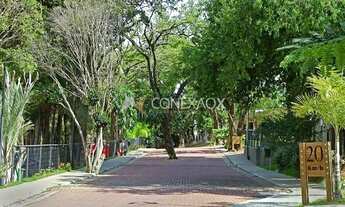 Imagem 3: Apartamento - Parque Fazendinha - Campinas