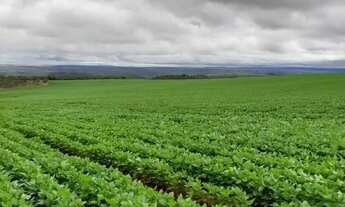 Imagem 2: Fazenda de 135 alqueires em Alto Paraiso-GO