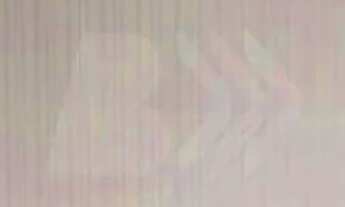 Imagem 4: Apartamento à venda no Edifício Solar de Athenas, no Bairro Cidade Alta em Piracicaba