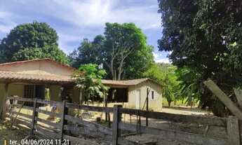 Imagem: FAZENDA DE OPORTUNIDADE - 33 ALQUEIRES