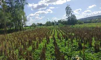 Imagem 4: Chácara com 6 alqueres, rica em água no muninicipio de piracanjuba