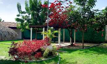 Imagem 4: Chácara perfeita no Araçagy