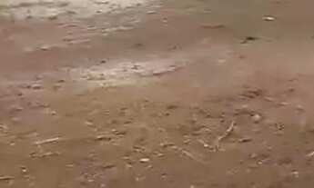 Imagem 2: Terreno plano TERRA PROMETIDA $6.000