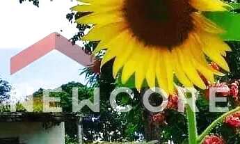 Imagem: Chácara em Praça Dom Carlos Carmelo Vasconcelos