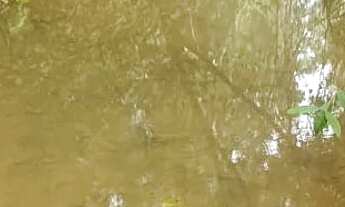 Imagem 4: Vendo terreno rural no girassol