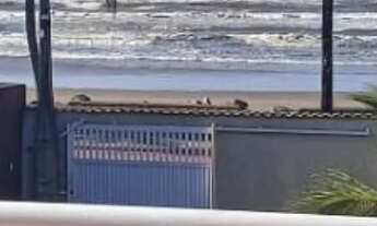 Imagem: Locaçao Frente Mar!!! Mongaguá