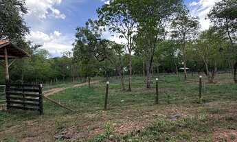 Imagem 7: Chacara às margens do rio Cuiabá dentro da cidade!