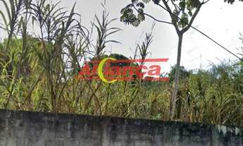 Imagem 2: Terreno - Guararema