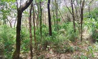 Imagem 2: Ótimo terreno 9000m2